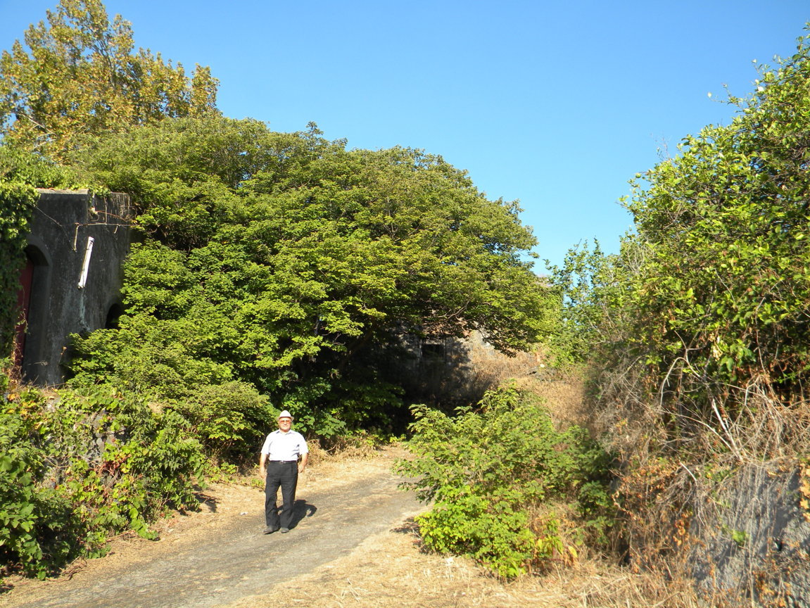 DSCN8055 .JPG